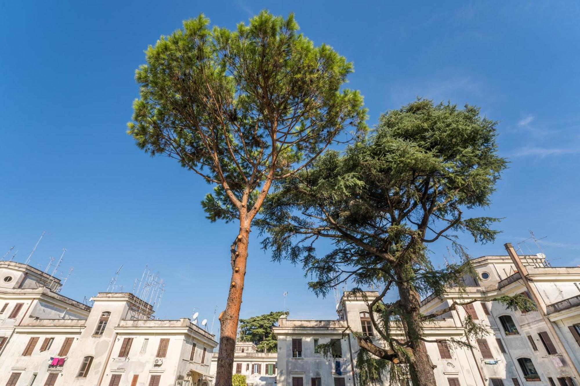 Fisher'S Apartment In Testaccio Рим Екстериор снимка